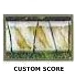 custom score