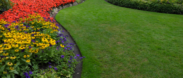 Landscape Services & Products in Bartow, Florida