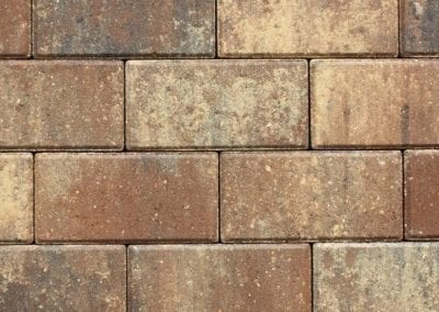 CHESTNUT / BUFF / CHARCOAL 623406
