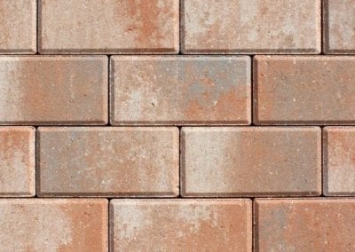 VANILLA / SUNKIST / PEWTER 414403