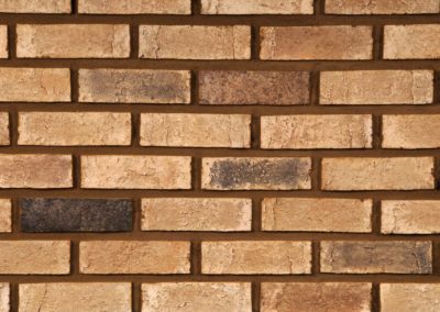 Brick 100 Chicago