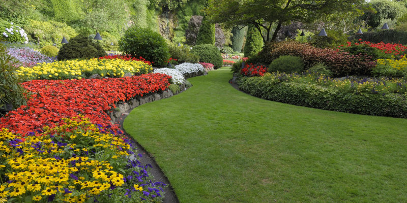 Commercial Landscape Services and Products in Bartow, Florida
