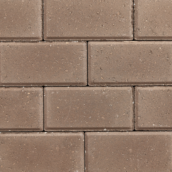 TAN Grey Solid