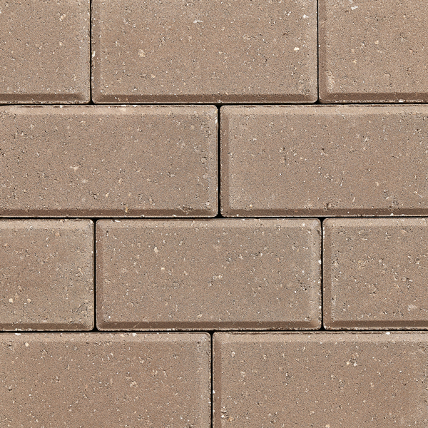 TAUPE Grey Solid